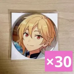 あんスタ フィーチャー 缶バッジ なずな 30点