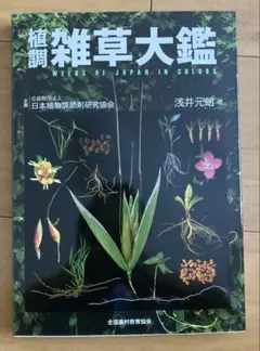 Item thumbnail for item 2f3db34d-b67e-467b-a54d-392c29ce34cc