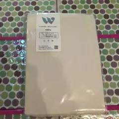 Item thumbnail for item 8fa8261e-d08d-49f7-af87-78d7a6189ec2