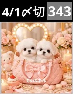 新柄♥️期間限定レアパネル生地　パネル生地　6柄セット　CKパネル