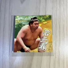 Item thumbnail for item 737adad4-525a-4129-ad5f-20176858eeee