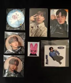 Stray Kids チャンビン toyworld トレカ IDフォト