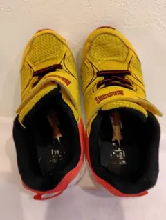 Item thumbnail for item e10d9caf-33d7-4313-bfbe-7984f55ae2c2