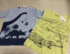 H&M 恐竜　半袖　Tシャツ 130cm