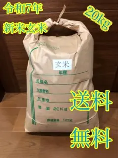 バンちん様販売再開‼️ 送料込み 精米済み 白米 20kg 7年度産 佐賀県産