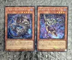 シャドール・リザード