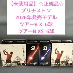 Item thumbnail for item c7e38379-fe63-4a56-8994-511d52525211