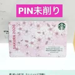 2026年最新】PIN未削りの人気アイテム - メルカリ