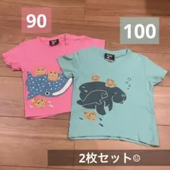 Tシャツ 2枚セット◎ 90 100 沖縄 美ら海水族館