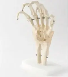 Item thumbnail for item c1275b2e-5414-43fe-8dc3-37d83f5e70b0