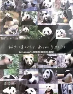 K*J様 王子動物園 神戸に来てくれてありがとう タンタン クリアファイル