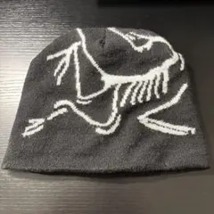 ビーニー 早い者勝ち