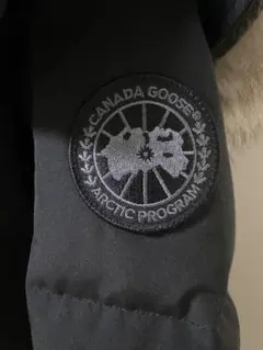 ベスト ダウンジャケット