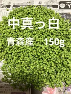2026年最新】山椒の花の人気アイテム - メルカリ