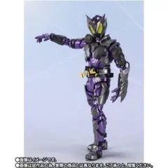 S.H.F 仮面ライダーパラドクス フィギュア 30-TO0423-08 - メルカリ