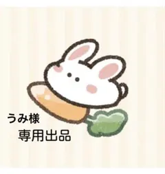うみ様　専用出品