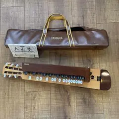 特注品 YAMAHA TH-20ME 電子大正琴 71bhxsAj7BL.jpg_BO30,255,255,