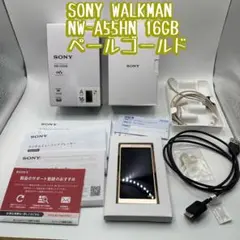 【動作品】SONY WALKMAN NW-A55HN 16GB ペールゴールド