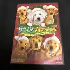 BUDDiiS HARUKI 岩尾春輝　ぬいぐるみ BUDDiiS HARUKI 岩尾春輝 グッズ