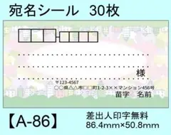 宛名シール30枚【A-86】メッセージ/ラベル/差出人/シール/ハンドメイド