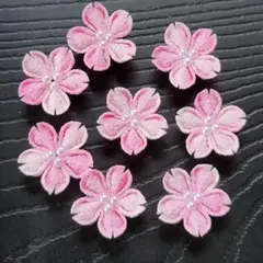 Item thumbnail for item 40b87c38-854a-4150-a09c-c43f39fcf980