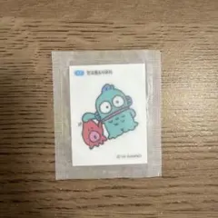 ハンギョドン　シール　ステッカー
