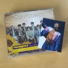 新品未開封⭐︎FANTASTICS SUNFLOWER CD+2DVD - メルカリ