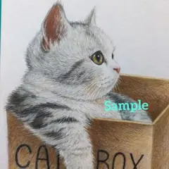 色鉛筆画(13.5×19cm)「・・・落ち着くニャ〜♪」猫♡