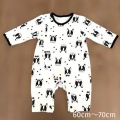 Item thumbnail for item 30eaa5cd-0ef2-4840-bcbc-19f9441a9eb5