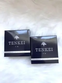 TENKEI 天恵石鹸　5個セット 2025年最新】天恵石鹸の人気アイテム - メルカリ