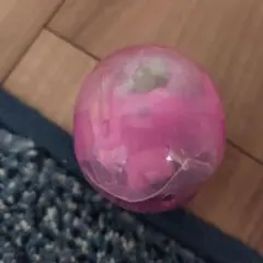 たまごっち　カプセルフロッキーズ　ふらわっち　ガチャ