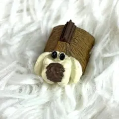 ヤドカリ物件　タテアナシキヤドカリ