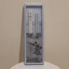 東京ディズニーリゾート　ミッキー ミニー ペア箸 Disney 新品
