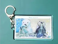 2026年最新】鳥羽水族館 ラッコの人気アイテム - メルカリ