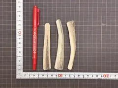 2026年最新】鹿の角の人気アイテム - メルカリ