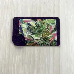 ポケモンフレンダ　テツノイサハ