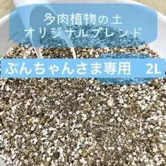 ぶんちゃんさま専用　多肉植物の土　2L オリジナルブレンド土