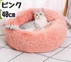 Item thumbnail for item ed4064a4-a8ef-4310-a40b-ee2a1254d642