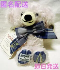 2025年最新】メリーソート+チーキーの人気アイテム - メルカリ