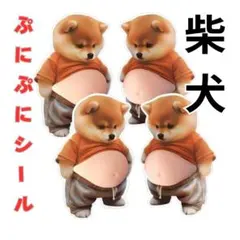 柴犬 ぷにぷに 立体シール 4匹セット おなかぷにぷに 可愛い メタボ犬