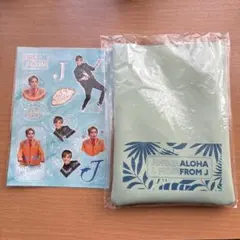 Item thumbnail for item ba5b98f5-dbb0-40fa-a5da-2439768ff90f