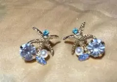 kaza カザ ヒトデのピアス 夏 Summerのサムネイル