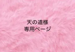 天の道様　専用ページ
