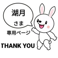 湖月様 リクエスト 2点 まとめ商品