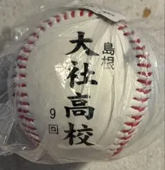 2025年最新】甲子園記念ボールの人気アイテム - メルカリ