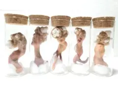 寄生型怪奇蟲　セットA　永野蟲　永田蟲　卵蓄光体　怪奇標本　まとめ5本　芸術作品