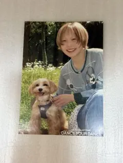 ExWHYZ ゆーきの撮った写真 mayu 5月verのサムネイル