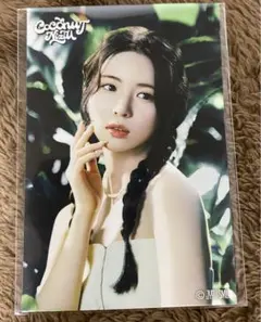 ココナッツオンラインくじ　ステッカー　マヤ②