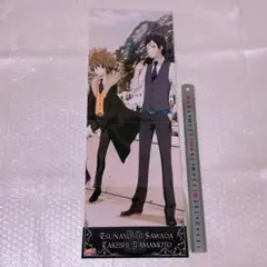 家庭教師ヒットマンREBORN! 沢田綱吉 ツナ 山本武 ポスター