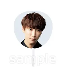 SnowMan LIVE TOUR 2022 Mania 渡辺翔太 うちわ